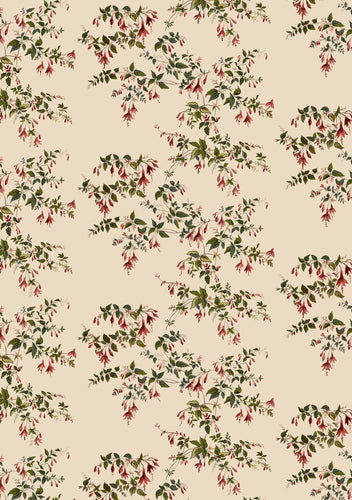 Assorted Wrapping Paper (5 sheets)