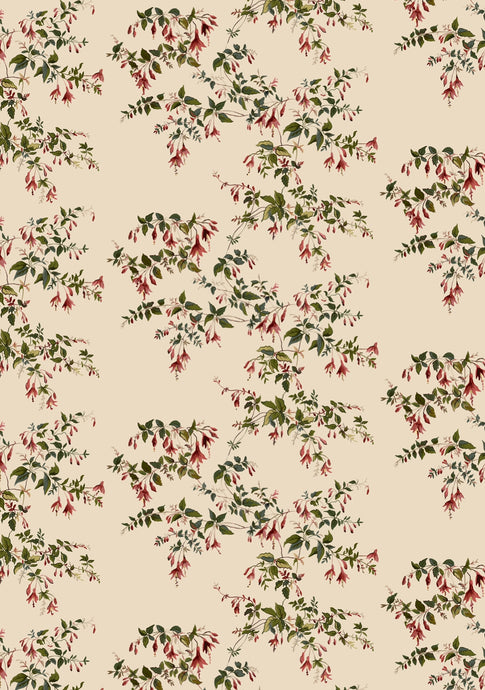 Assorted Wrapping Paper (5 sheets)